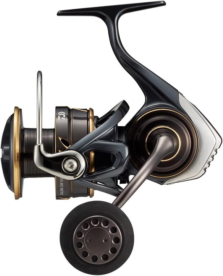 Daiwa 22 CALDIA SW 5000D-CXH 6.2 Spinning Reel New Japan | eBay