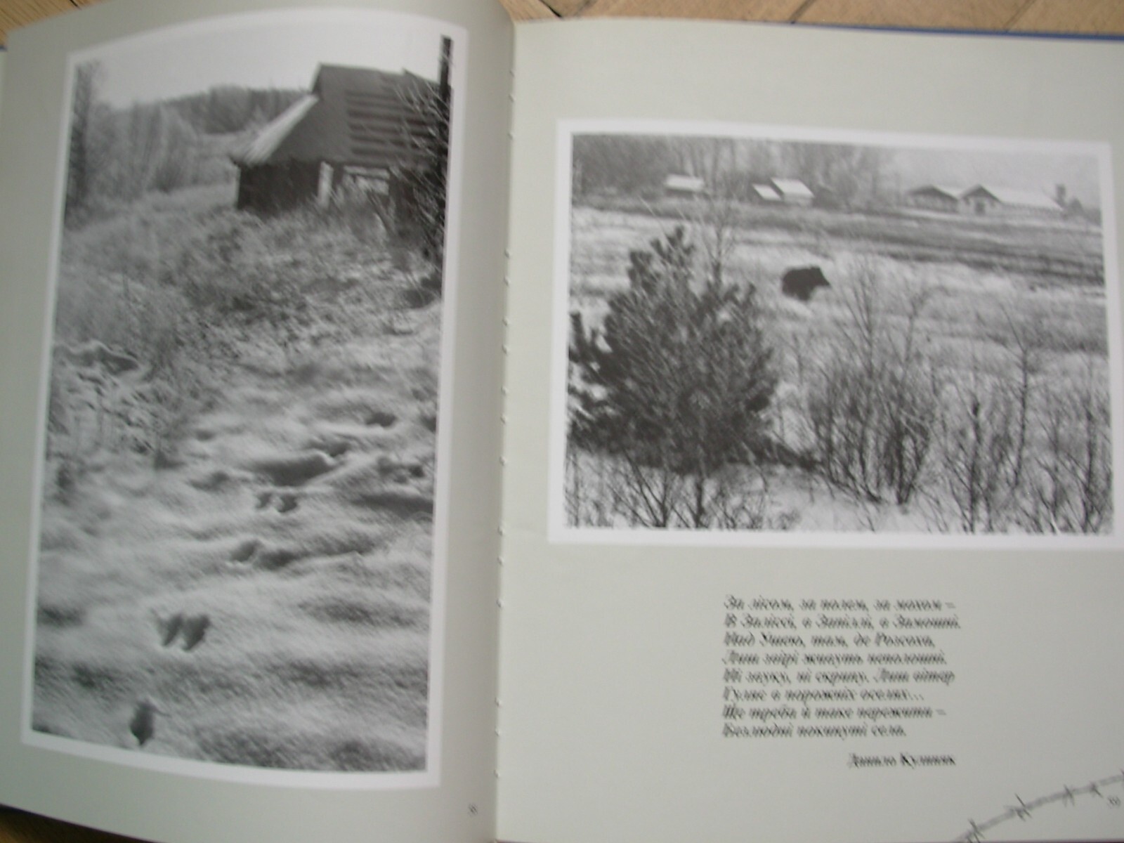 Picture 4 of 7