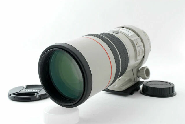 Objectifs Canon 300 mm pour appareil photo et caméscope