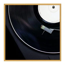 12.5x12.5 Album Frame Brushed Metal Finish Vinyl Record Display Acrylic Glass Br