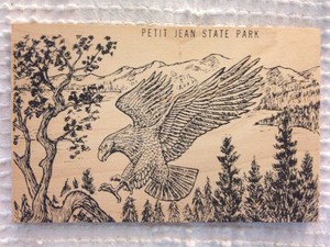 Details About Wooden Petit Jean State Park Arkansas Postcard Depicting Eagle E1