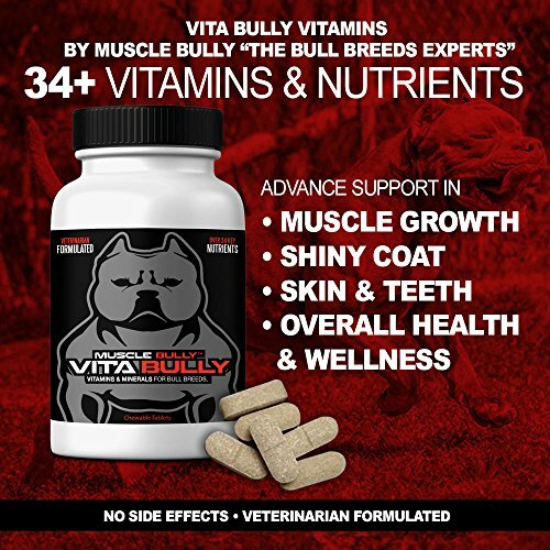 vitamins for american bully