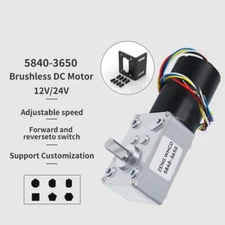 5840-3650 Worm Gear Brushless Motor DC12V24V High Torque Self-locking Metal Gear