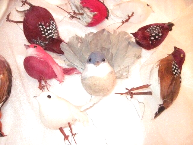 Bild 4 von 4