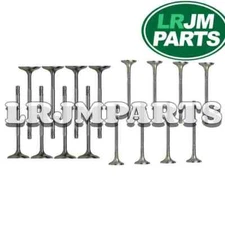 aj200 Jaguar Land Rover evoque discovery 2.0 ENGINE INTAKE EXHAUST VALVE SET
