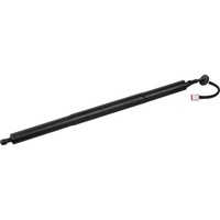 Febi Bilstein 179297 Gasfeder Kofferraum Laderaum FüR Jeep Grand Cherokee VAN