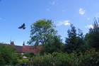 Bild 4 von 24