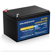 NEW Goldenmate 12V 16Ah 204.8Wh LifePO4 Lithium Deep Cycle Batttery LFP1216