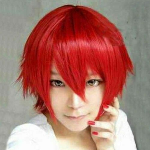 Unisex Boys Mens Anime Short Wig Straight Hair Handsome Full Wigs Cosplay Party - Picture 8 of 21