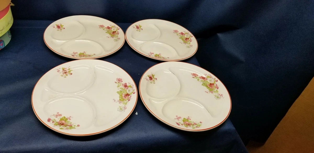 Porcelain Divided Dinner Plates