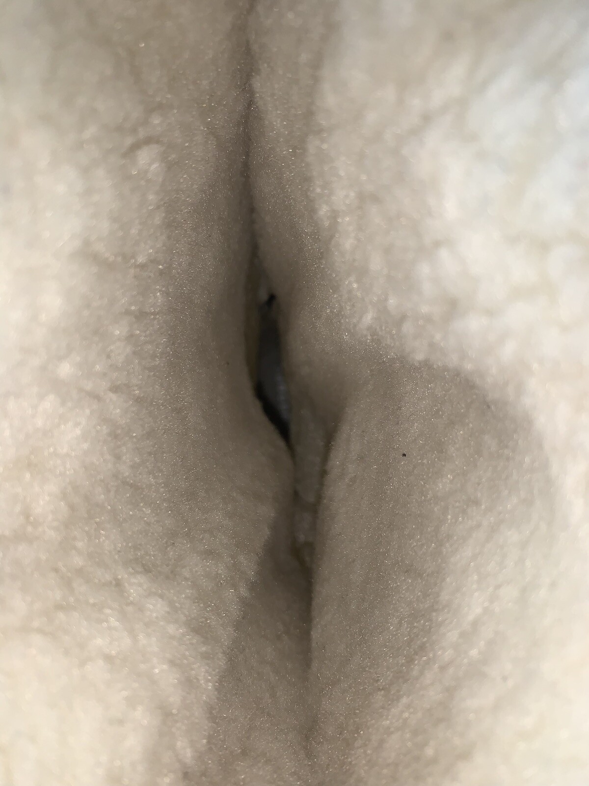 Foto 6 di 8