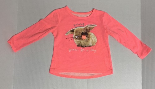 Paket mit 5 Langarmoberteilen Jeans Hosen Mädchen Größe 18M Blumenmuster Häschen Herzen - Bild 2 von 11