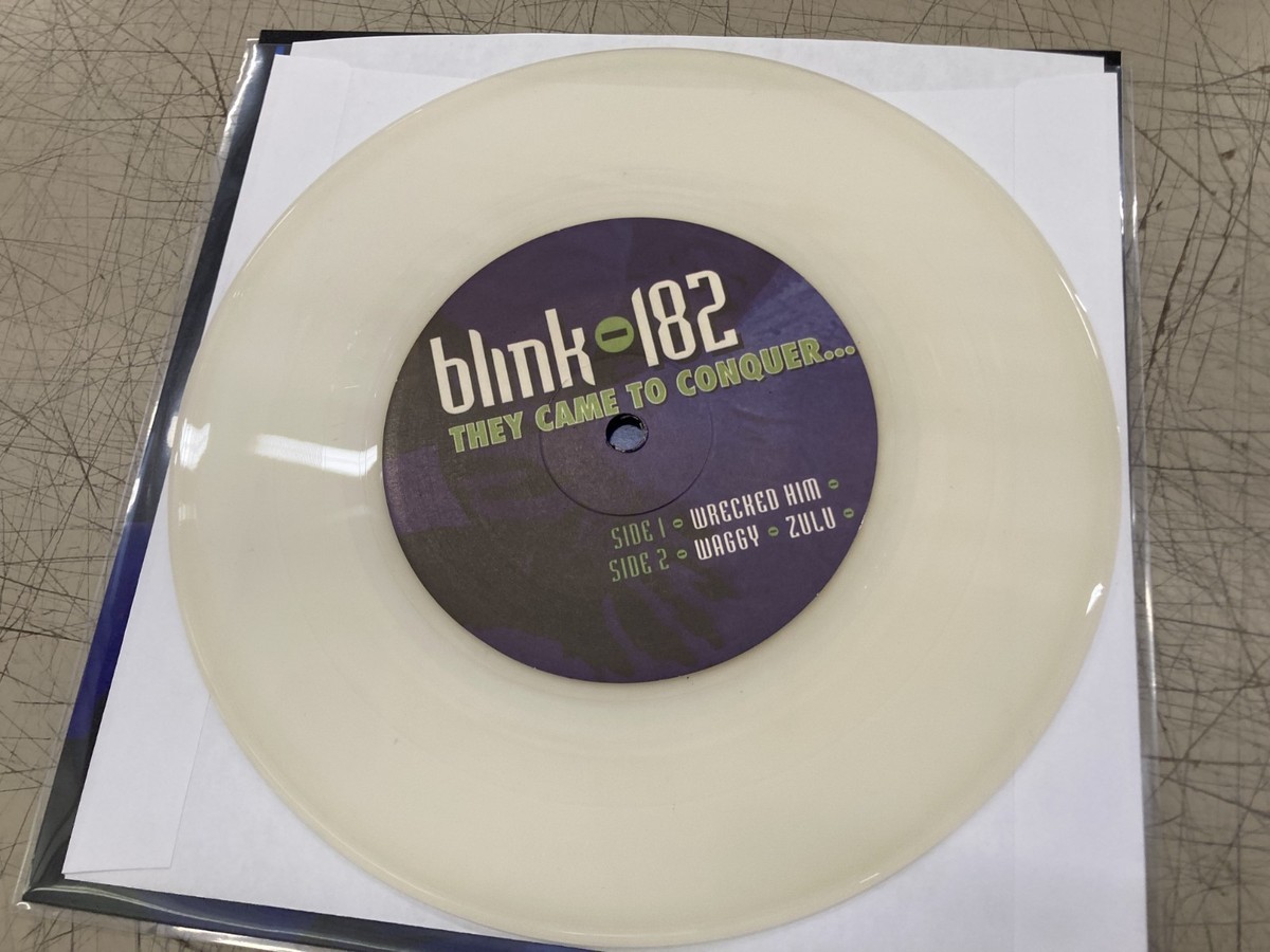 blink-182 ライブアルバム　レコード盤　レア blink-182 ライブアルバム レコード盤 レア blink-182 ライブアルバム