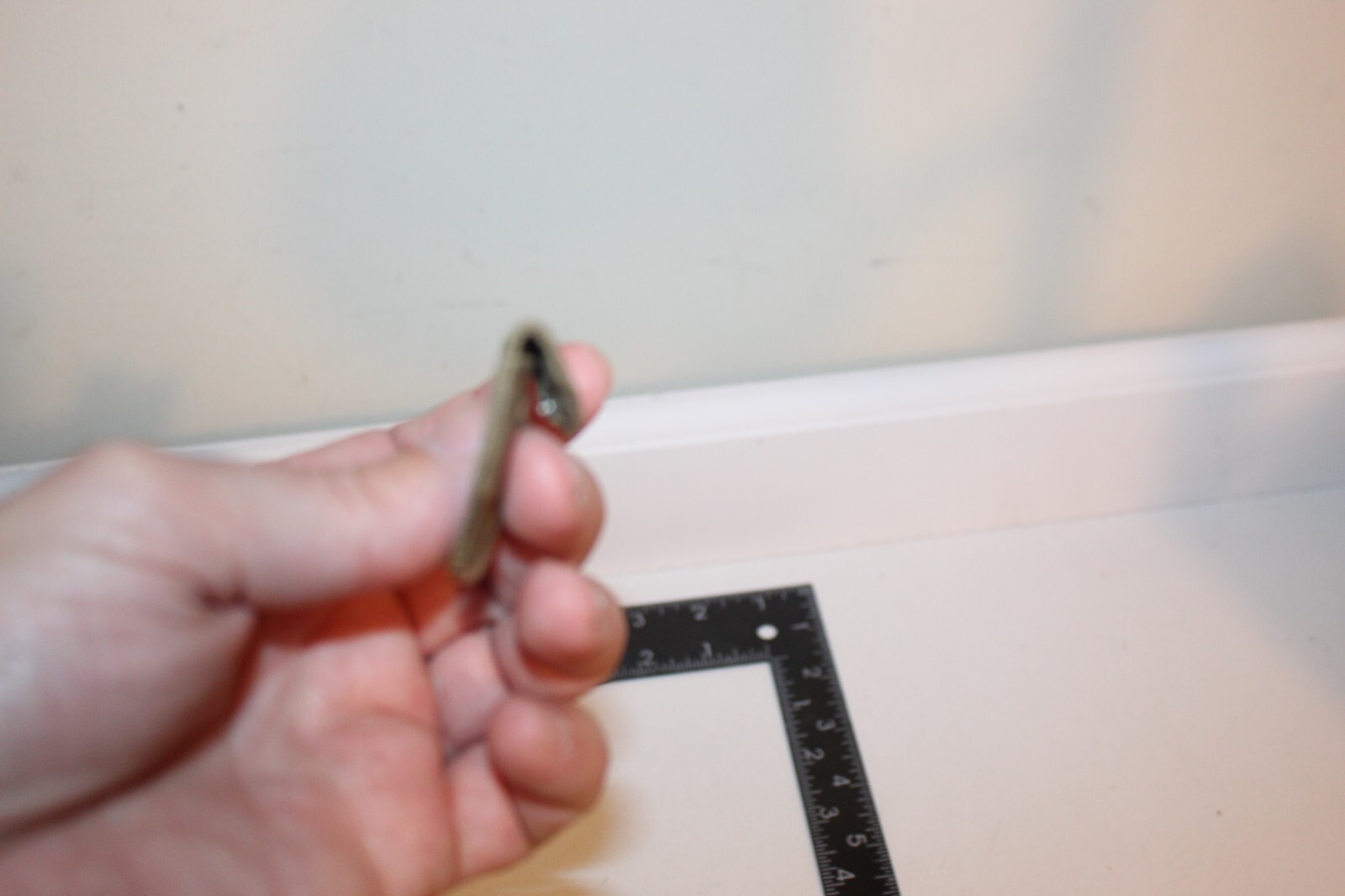 Picture 6 of 6