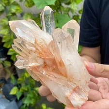 665g Natural White Clear Quartz Crystal Cluster Raw Healing Specimen