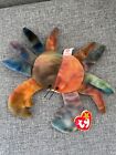Beanie Babies: Claude; Iggy; Inky; Righty; Sparky and Nuts lot of 6 with tags!
