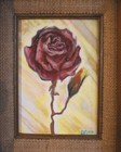 Bild 3 von 6