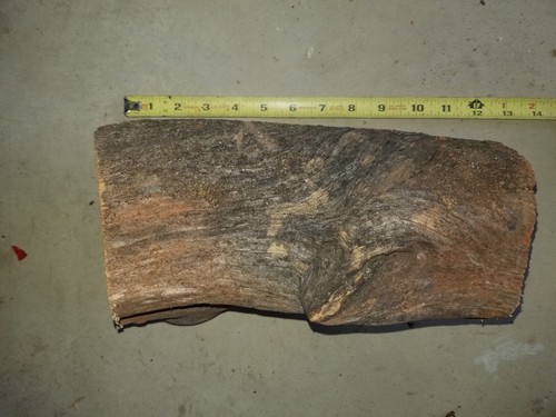 Manzanita Chunk for turning lathe woodworking carving whittling 5"-6" diameter - Picture 10 of 12