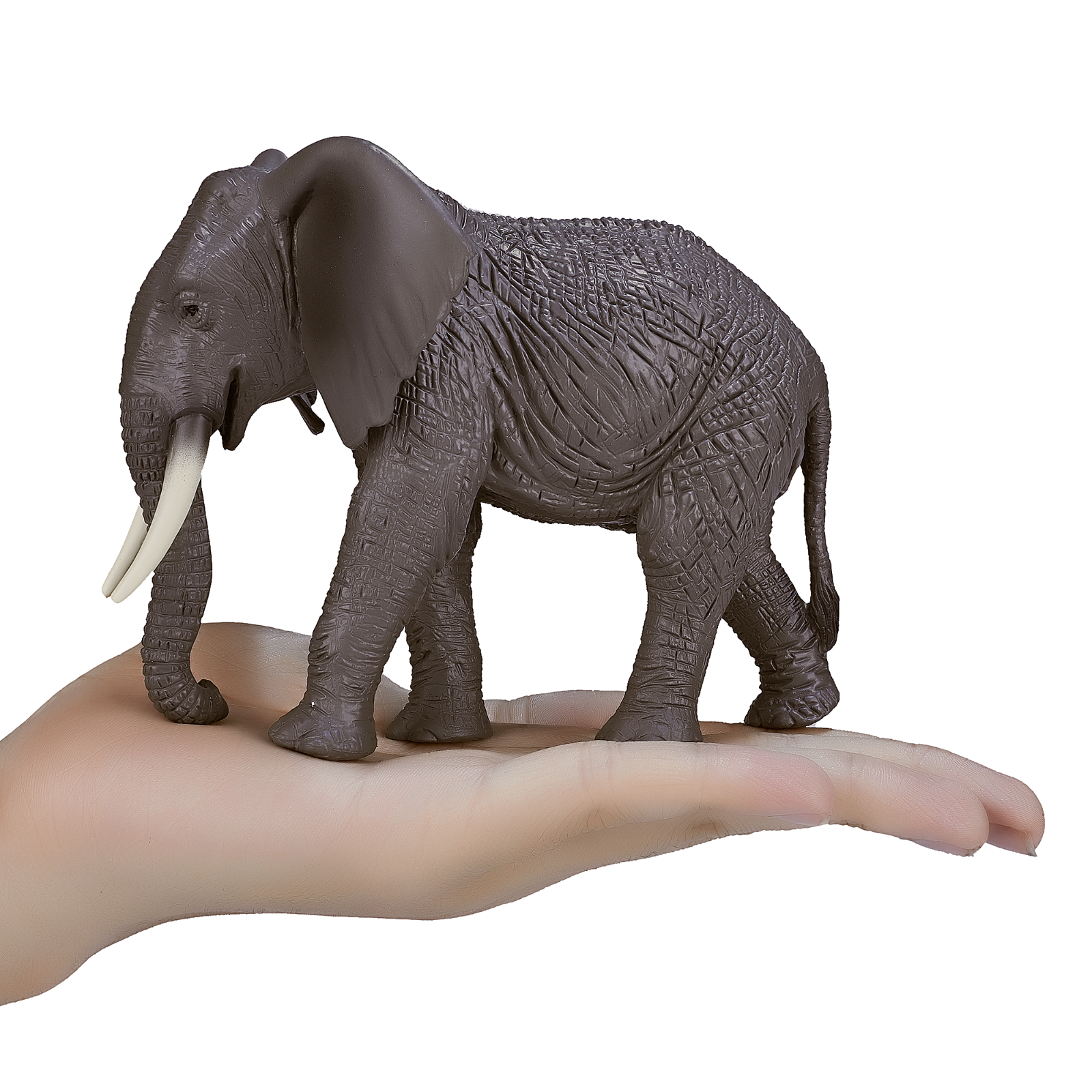Mojo AFRICAN ELEPHANT Wild zoo animals play model figure toys plastic forest 5031923871892 | eBay Mojo AFRICAN ELEPHANT Wild zoo animals play model figure toys plastic forest 5031923871892 | eBay