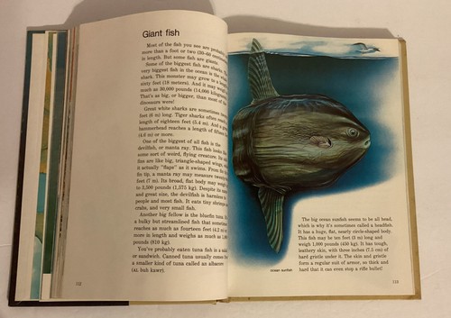 1979 Childcraft Annual Story Of The Sea Science Oceans Reference Habitats - Picture 22 of 24