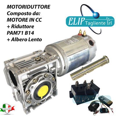Motore di riduzione dellingranaggio elettrico di coppia elevata Motore di riduzione della micro velocit/à motoriduttore DC 12V 15~200 giri//min esterno Diametro 20MM 100 RPM