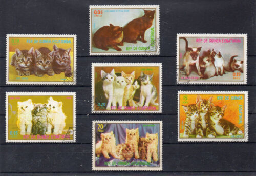 Equatorial Guinea Domestic Fauna Cats (CA-648) - Picture 1 of 1