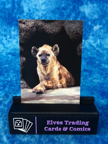The World Famous San Diego Zoo Animals of the Wild SINGLE Non-Sport Trading card - Picture 53 of 194