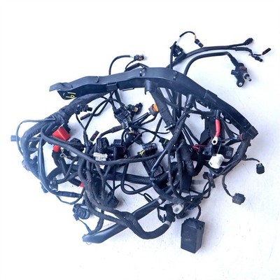 BMW R nine T Hauptkabelbaum Kabelbaum 2023 - 61111623748