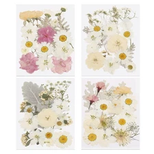 80 Pcs Dried Pressed Flower Leaves Bulk for Resin, White Colors