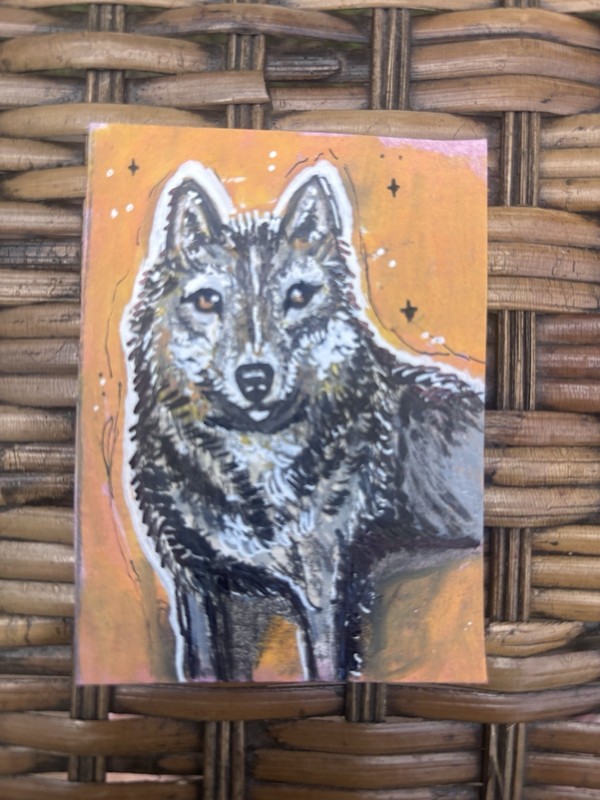 Aceo Original wolf Wolves Minnesota Mammal Wolf Art Art Card