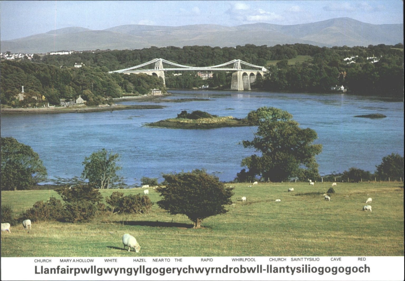 Llanfairpwllgwyngyll Menai Bridge Wales Postcard Dennis Print John Hinde