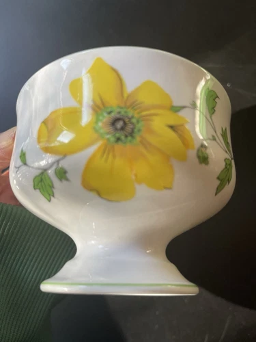 Royal Victoria Fine Bone China Dogwood Footed Sherbet Dish England Dogwood 3