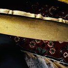 Bild 7 von 7