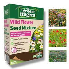 Wildflower Seed Mix 1kg Attracts Bees & Butterflies, Easy to Grow! GREEN FINGERS 10.56 per kilo