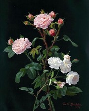Bouquet Flowers Roses Accent Tile Mural Kitchen Bathroom Wall Backsplash Ceramic