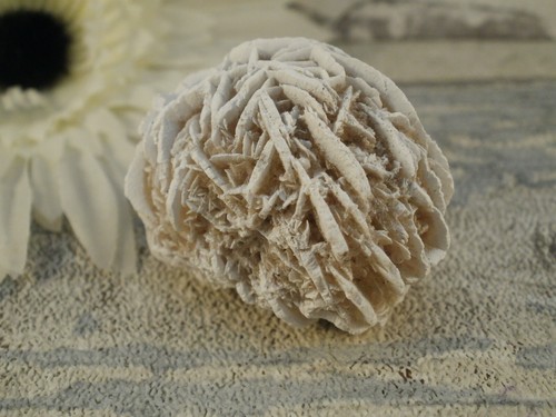 Desert Sand Rose