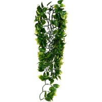 Exo-terra Amapallo Jungle Plant on sale Exo-terra Amapallo Jungle Plant on sale