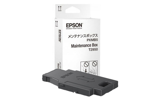 Genuine Epson WF-100 ink Maintenance 
