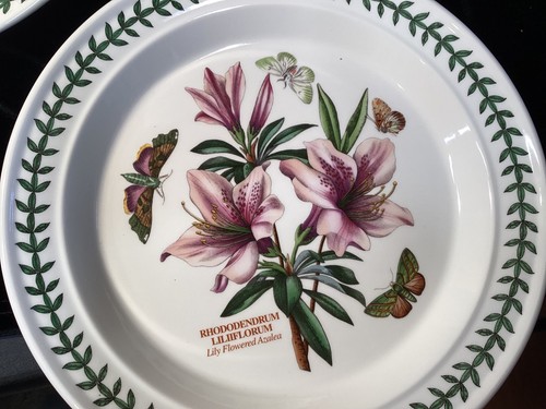 (SET OF 5) Portmeirion Botanic Garden 10 1/2" Dinner Plates ~EXCELLENT~ - Picture 6 of 7