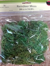 Floral Garden Reindeer Moss Preserved Natural Green Craft Decor 24 cu in