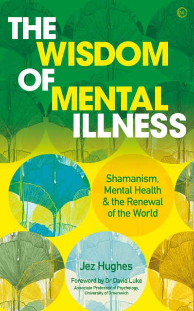 The Wisdom of Mental Illness by Jez Hughes (Paperback Book)