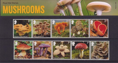 GB 2025 MUSHROOMS PRESENTATION PACK No.667 *SPECIAL PRICE* - Picture 2 of 2