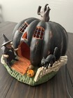 Foto 19 di 24
