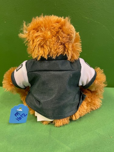 NFL Green Bay Packers Good Stuff Stuffed Cuddly Toy Bear - Picture 2 of 3