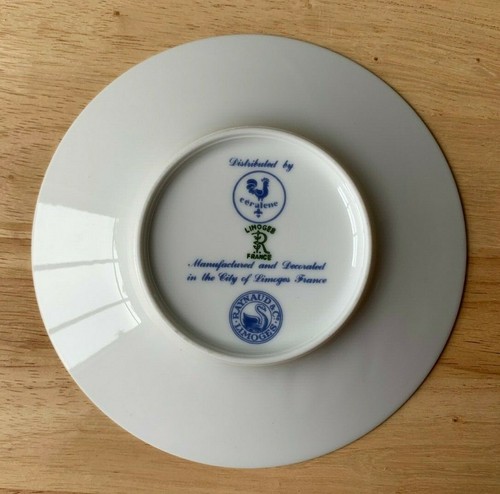 RAYNAUD CERALENE LOUVIERS Flat Cup & Saucer Set - France - EUC - Picture 7 of 7