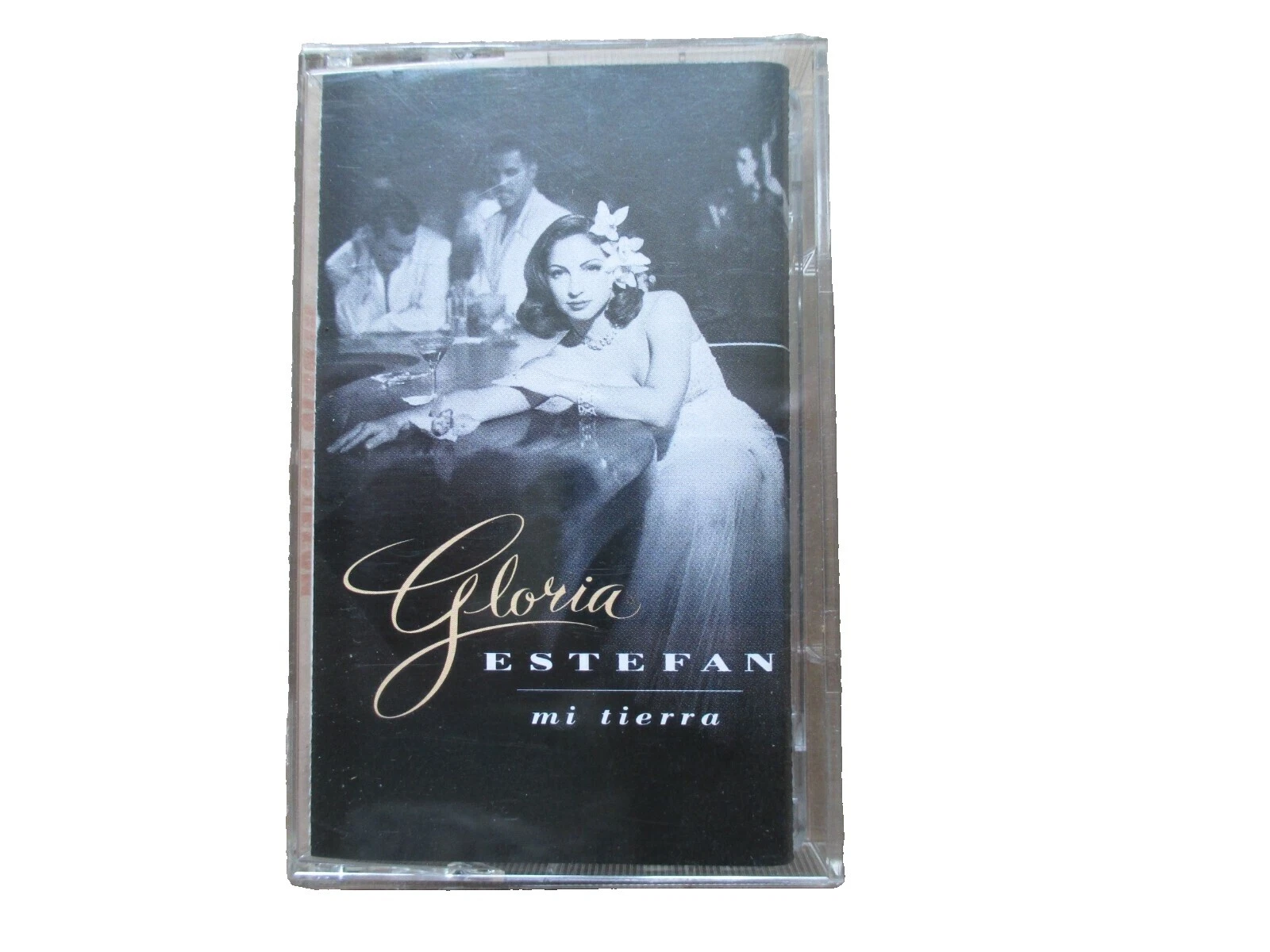 Gloria Estefan Near Mint (NM or M -) Inlay Condition Music Cassettes