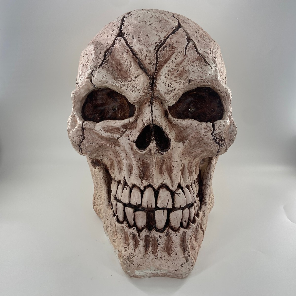GIANT Skull Skeleton Head Halloween Huge 22