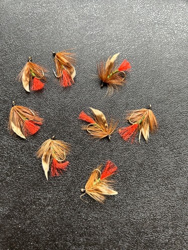 Wet Flies pack of 8 - Various patterns & sizes - Picture 12 of 64