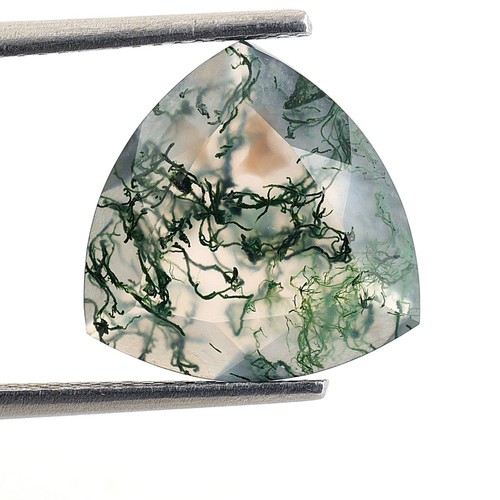 High Quality Garden Moss Agate Trillion Shape 13X13 mm Loose Gemstone 4.75 Ct. - Picture 4 of 6