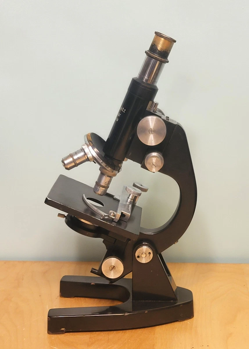 Ernst Leitz Wetzlar Microscope In Antique Microscopes & Lab